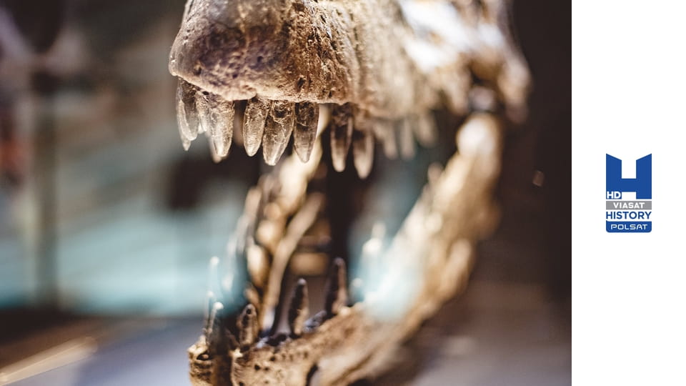 Przeklęte skarby S1E3