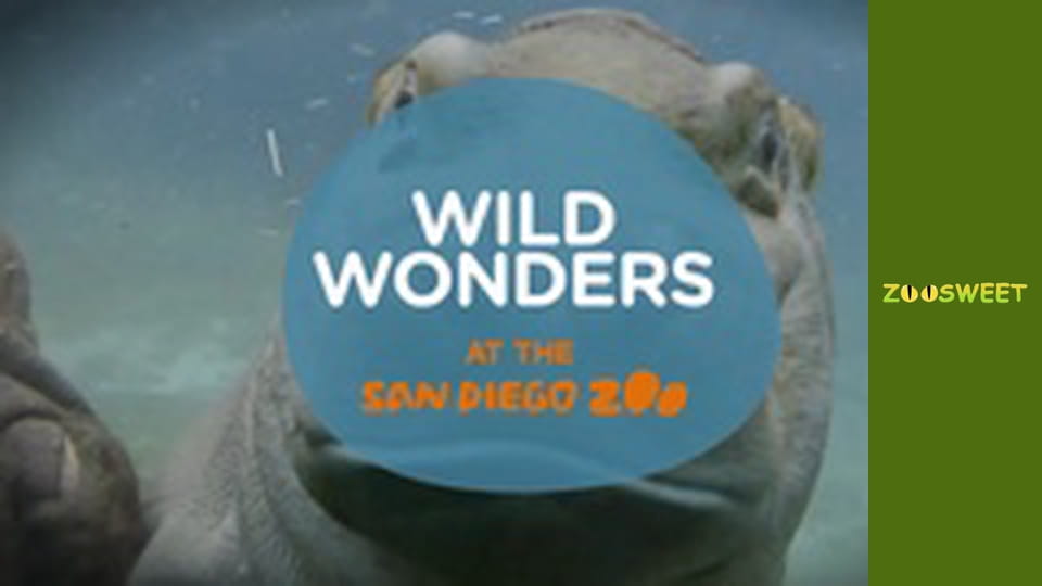 Wild Wonders at the San Diego - episode 20