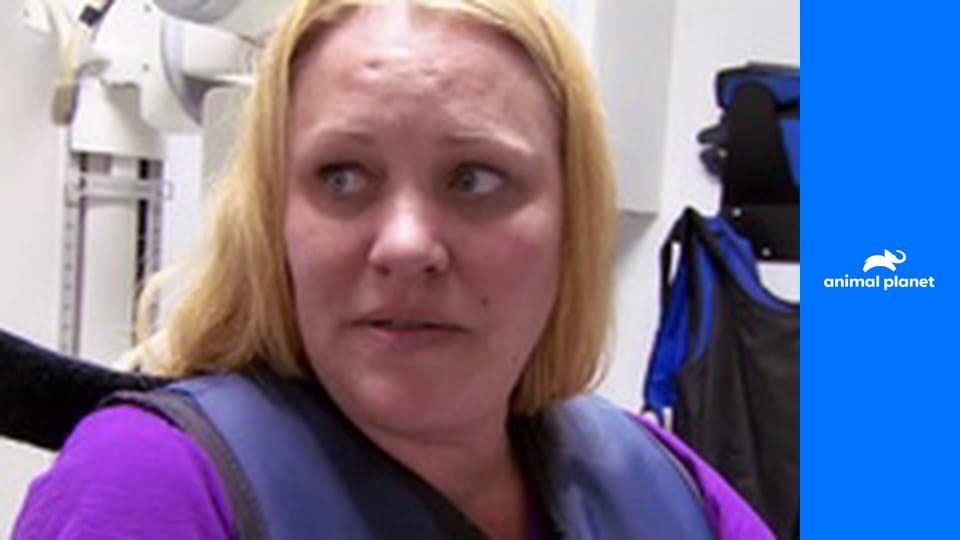 Доктор Джефф. Ветеринар Рокки Маунтин S1E4 - Любой ценой