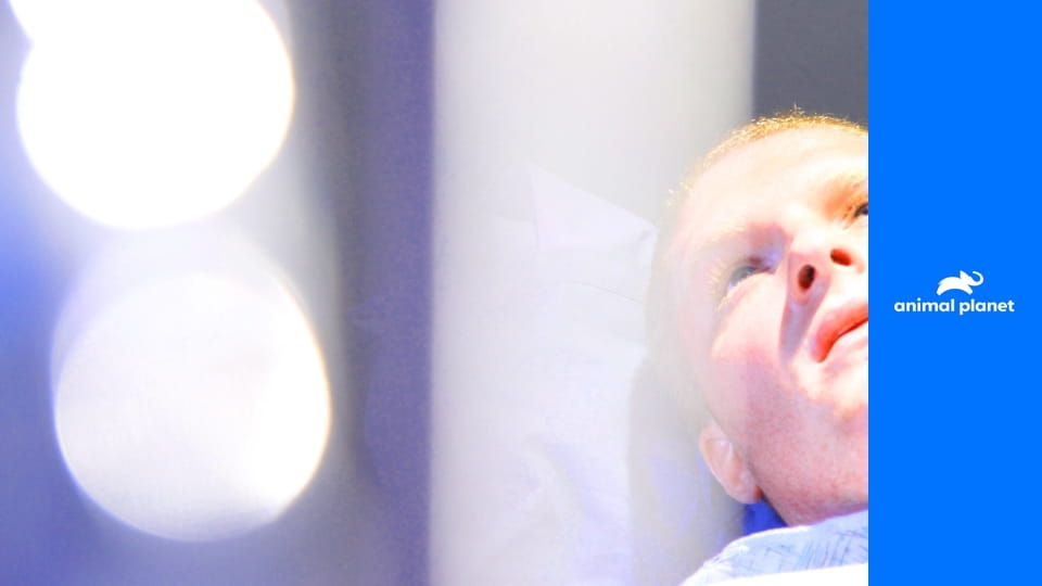 Я живой S2E7 - Вне доступа