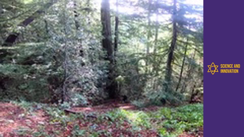 Science and Innovation Сезон 1 Епизод 16