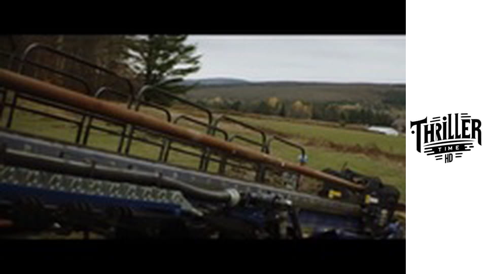 The Hummingbird Project