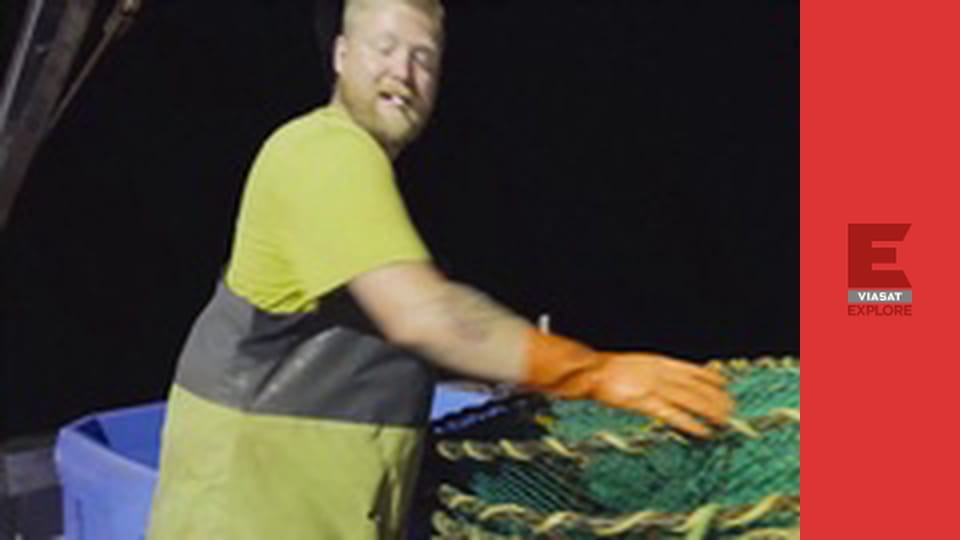 Герої Іст-Харбора S3E2 - Важковаговики