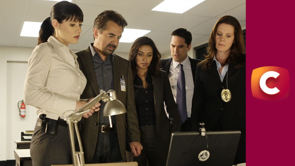 Т/с "Мислити як злочинець", 14 сезон, 14 с.