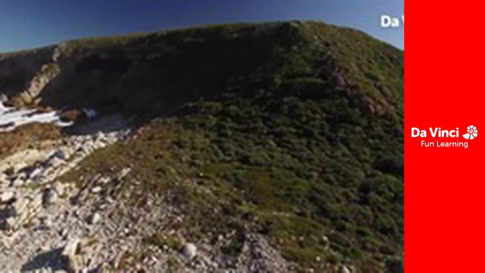 Siyaya - Wildest Cape - De Hoop - Place Of Hope