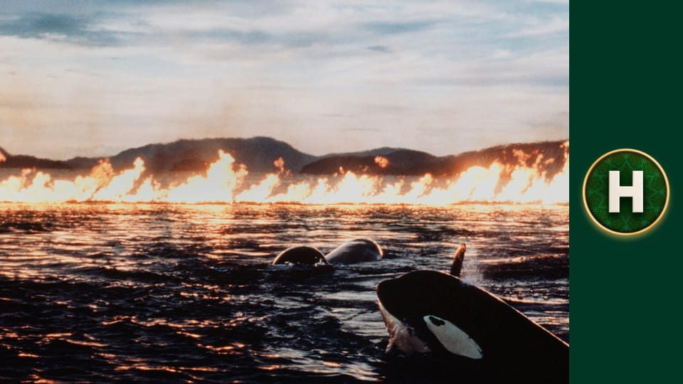 Звільніть Віллі 2: Пригоди вдома