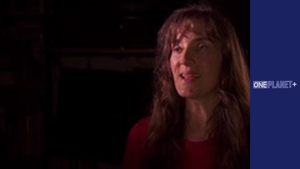 Secrets of the Brain - series 6