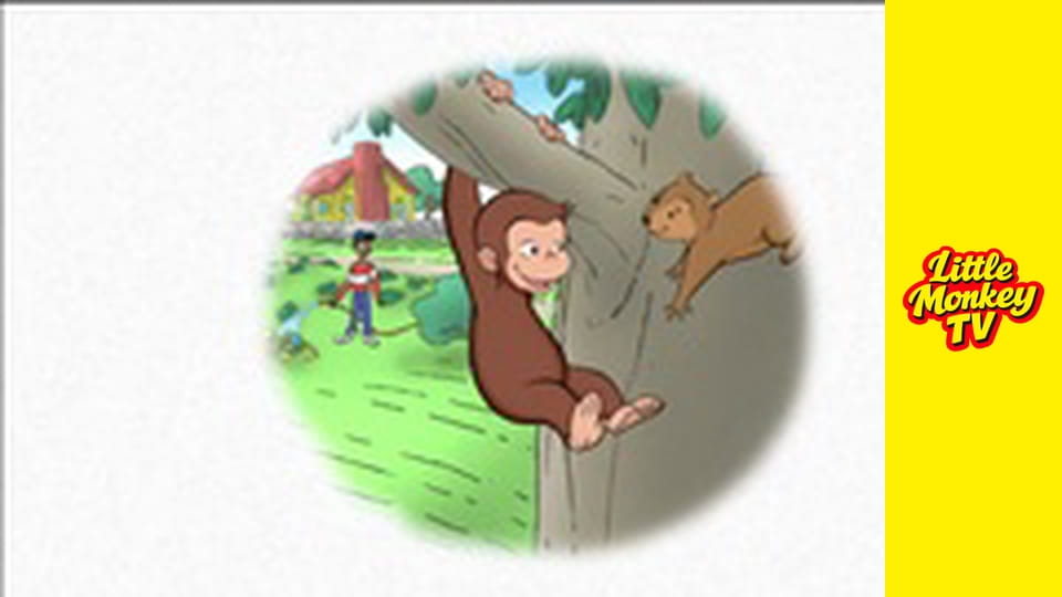 Całkiem inny Prezes