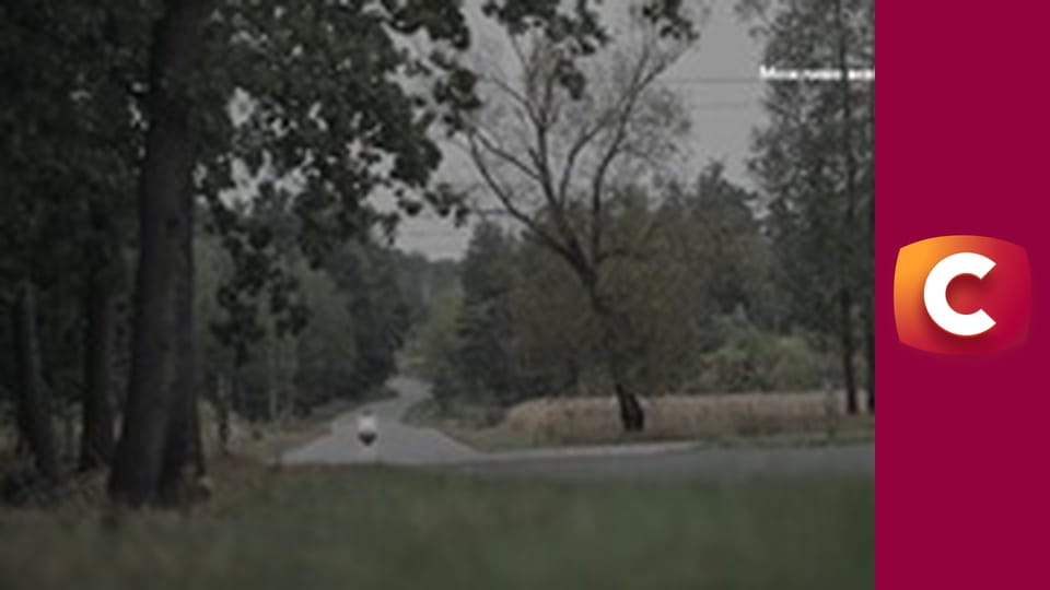 Т/с "К. О. Д.", 24 с. "Дикі танці".