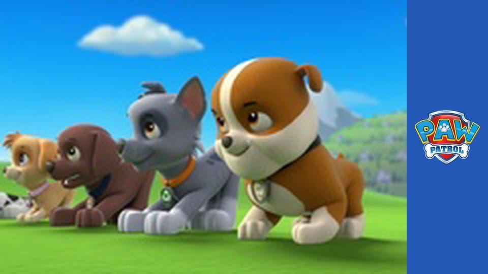 Paw Patrol Season 1 Episode 16