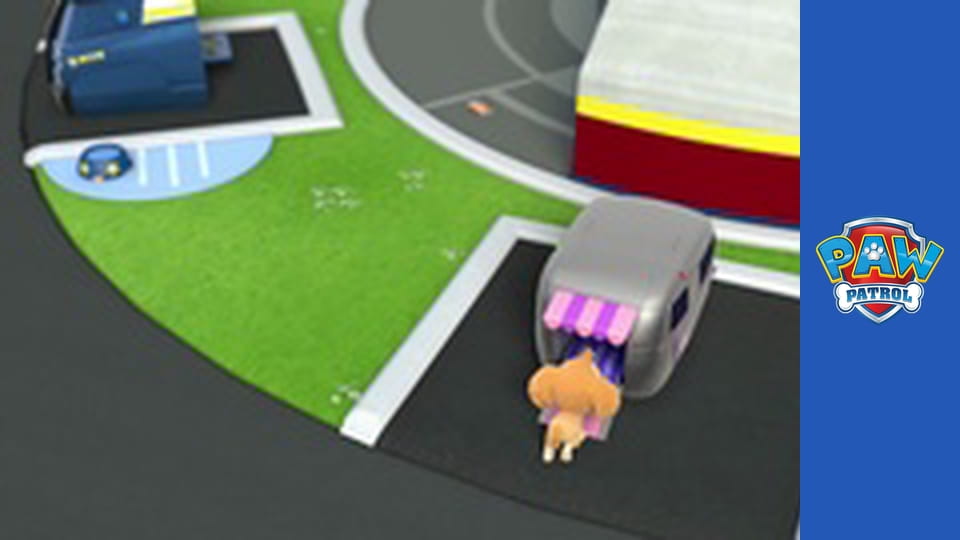 Psi Patrol Sezon 1 Odcinek 17