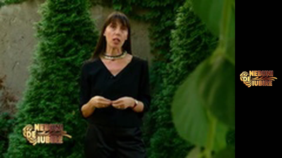 Nebuni de iubire Season 1 Episode 16