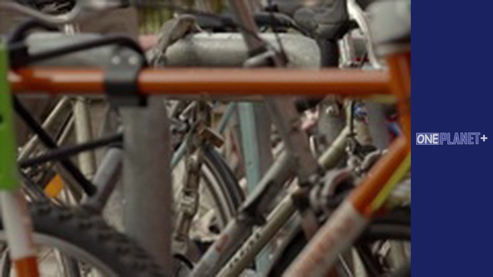 In search of knowledge. - episode 9