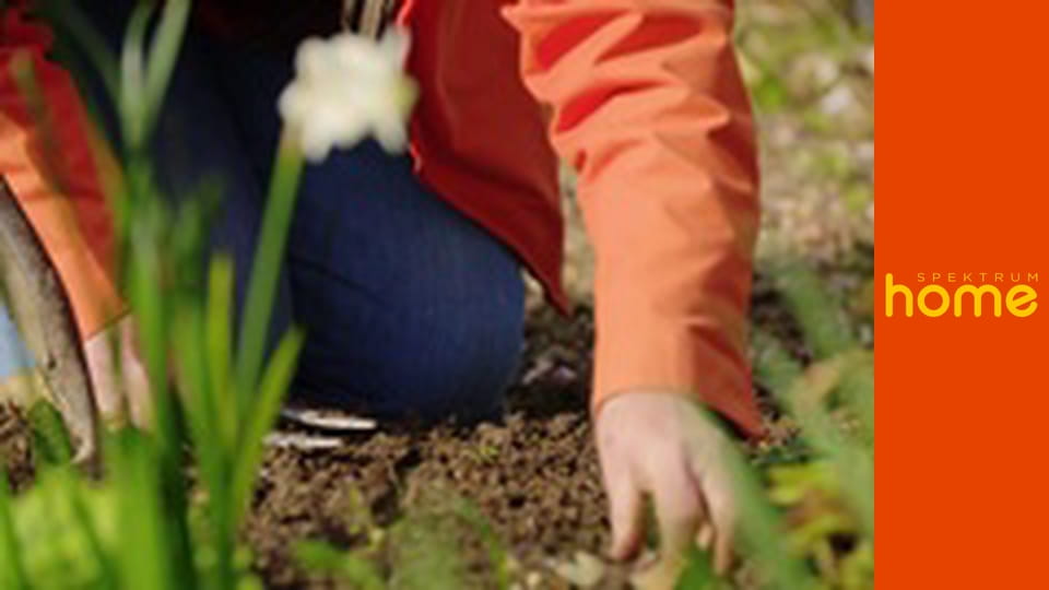 Ukážeme vám jak na zahradu - jarní sezona S2E9