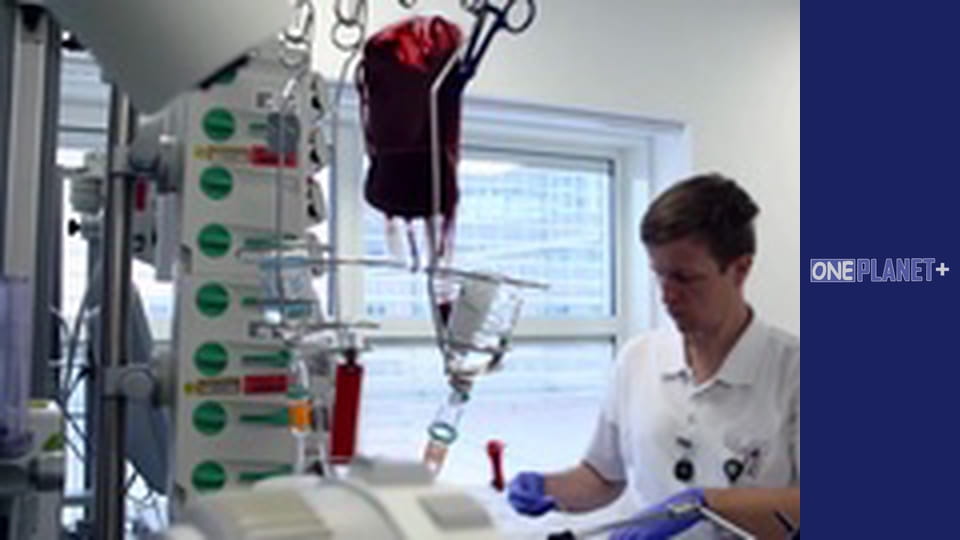 In search of knowledge. - episode 10