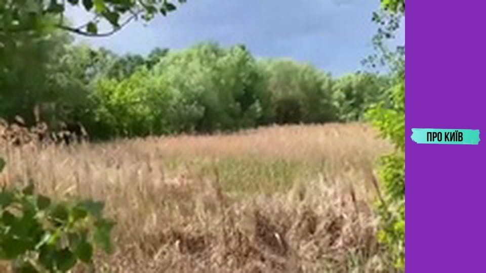 Околиці Дарницького вокзалу.