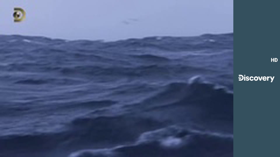 Смертельный улов S12E12