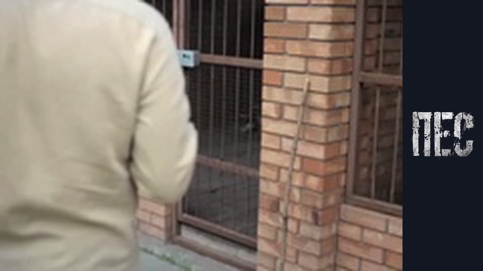 Пёс, Сезон 6, Серия 16