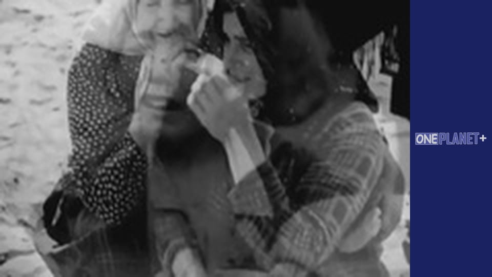 Секретно. Друга світова. - серия 8