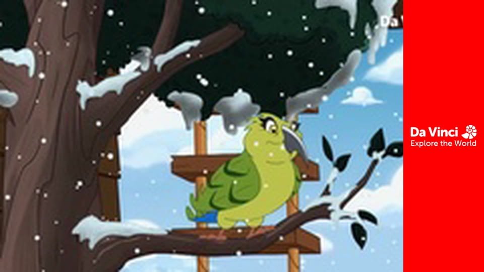 Darwin és Newts - Newts fehér szülinapja