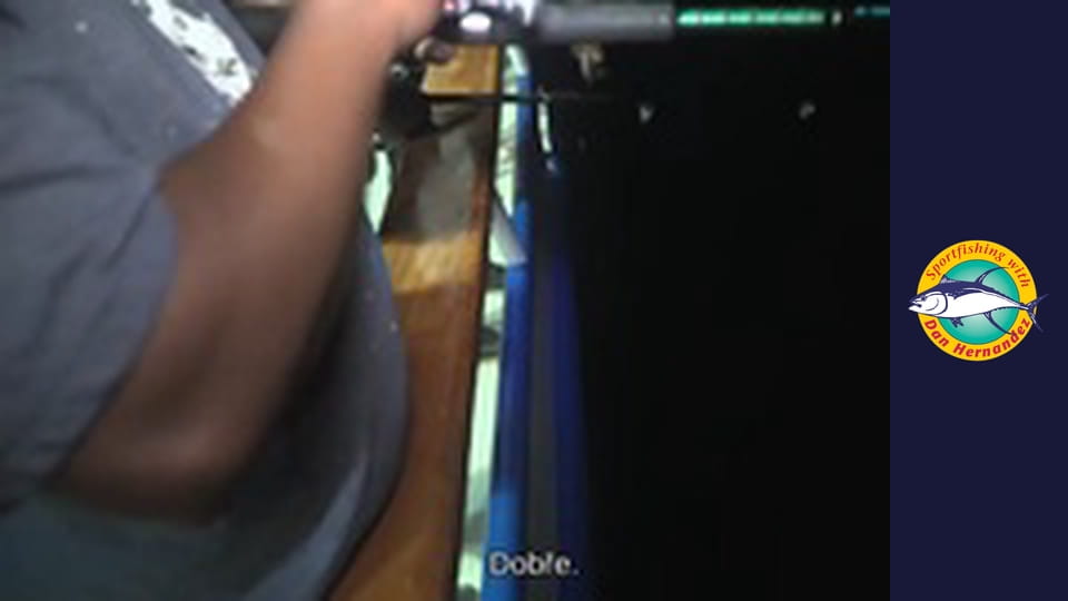 Freelance - Twilight