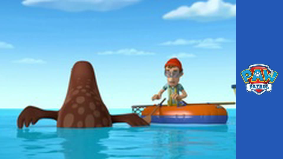 Psi Patrol Sezon 1 Odcinek 12