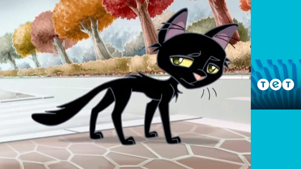 Жив собі чорний кіт