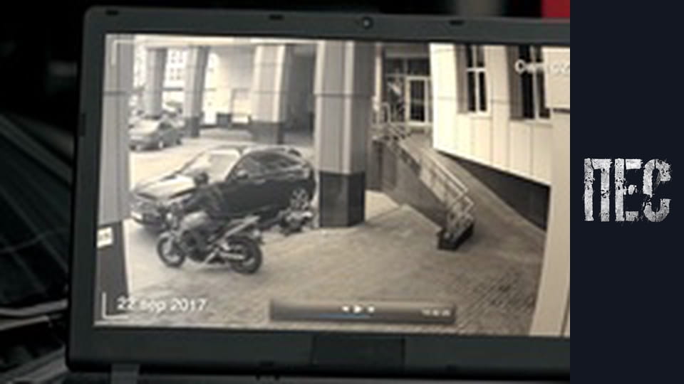 Dog, Season 3, Episode 7