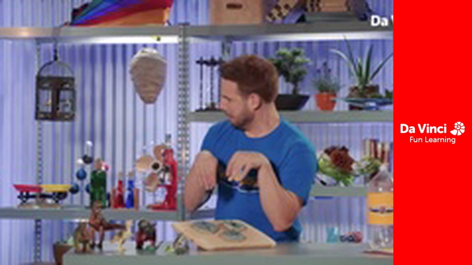 ScienceXplosion - Fossil Finds