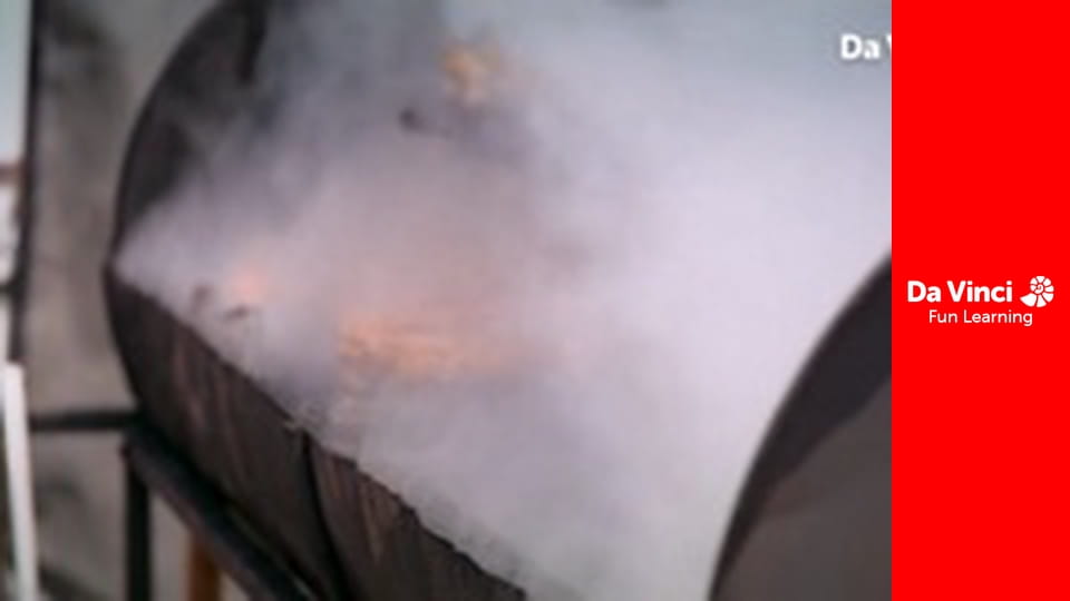 Matilda and the Ramsay Bunch - The BBQ Beef