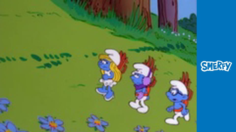 Smerfozapominajki / Prezent na Dzień Papy