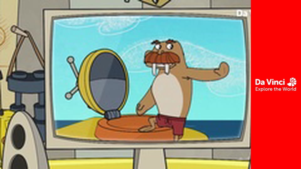 Doki - A japán óriás