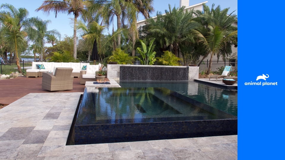 Neuveriteľné bazény S3E4