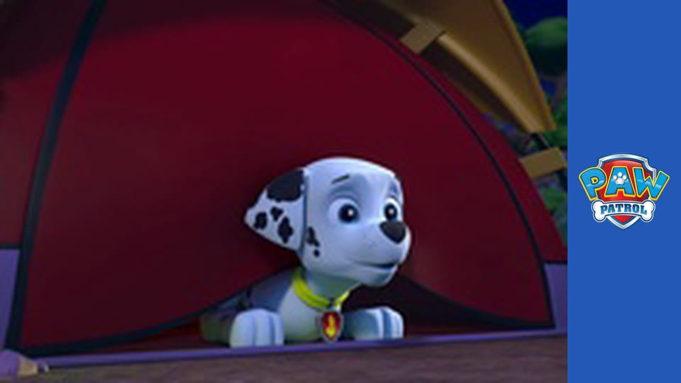 Paw Patrol Season 2 Episode 14