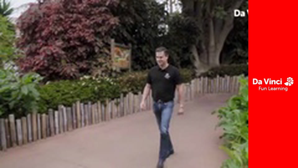 Animal Embassy - A Day in the Life of Rafa