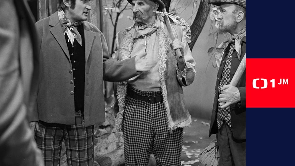 Nejsem chmýrko na bodláku