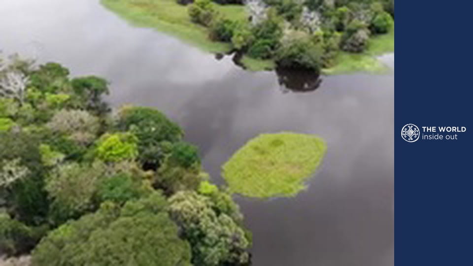 Extrémny rybolov a obete pirátov. Brazília.