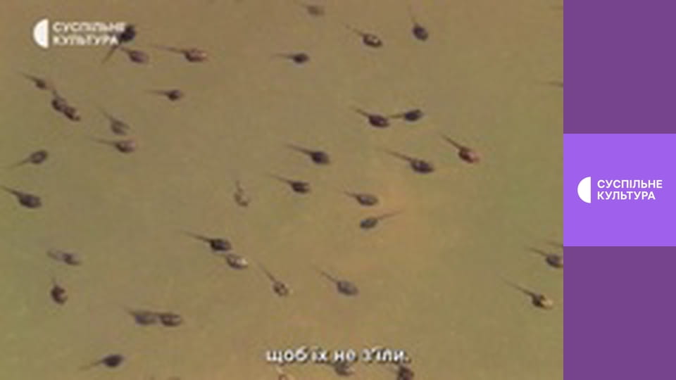 Д/с "Світ дикої природи. Дикі тварини". "Болота".