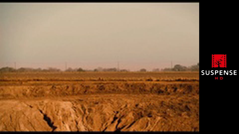 Machete: Ucigaș meseriaș