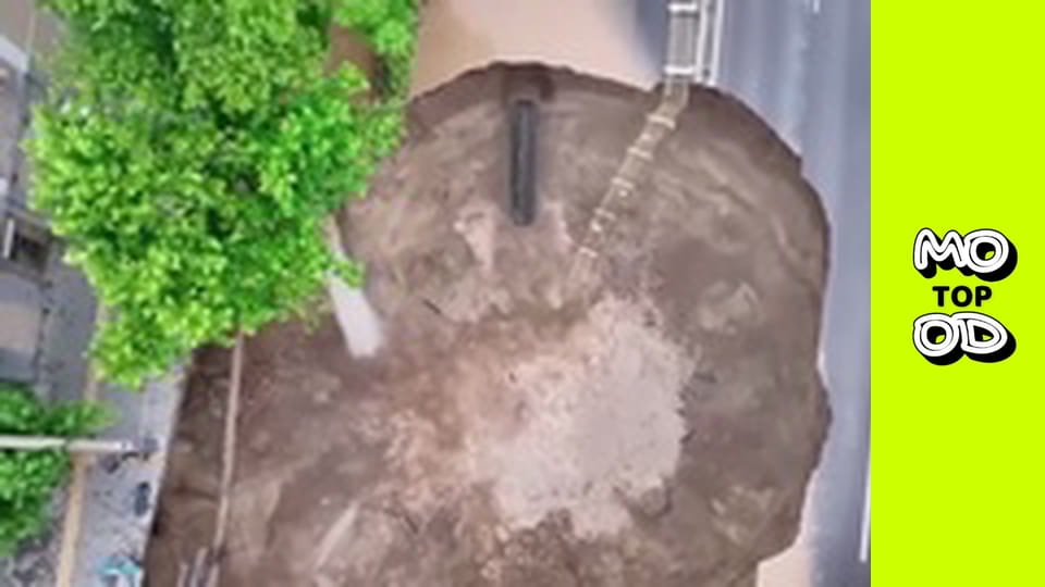 Look Up Show Season 3 Episode 20