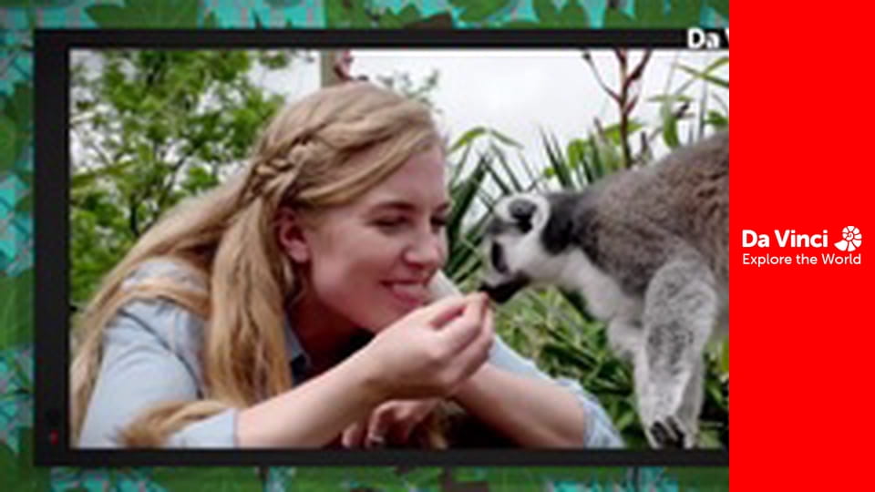 Știi oare? - Maddie, grădina zoologică și tu - Cum să ne fie confortabil?