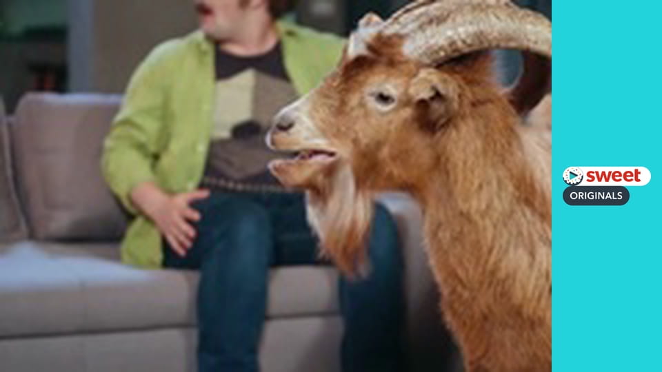 Життя на трьох Серія 2