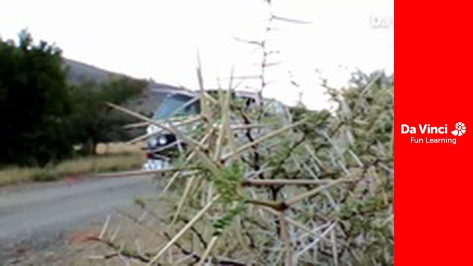 Siyaya. Droga przez Afrykę - Róg Afryki