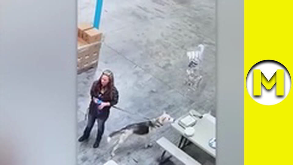 Max TV - season 2 - episode 24