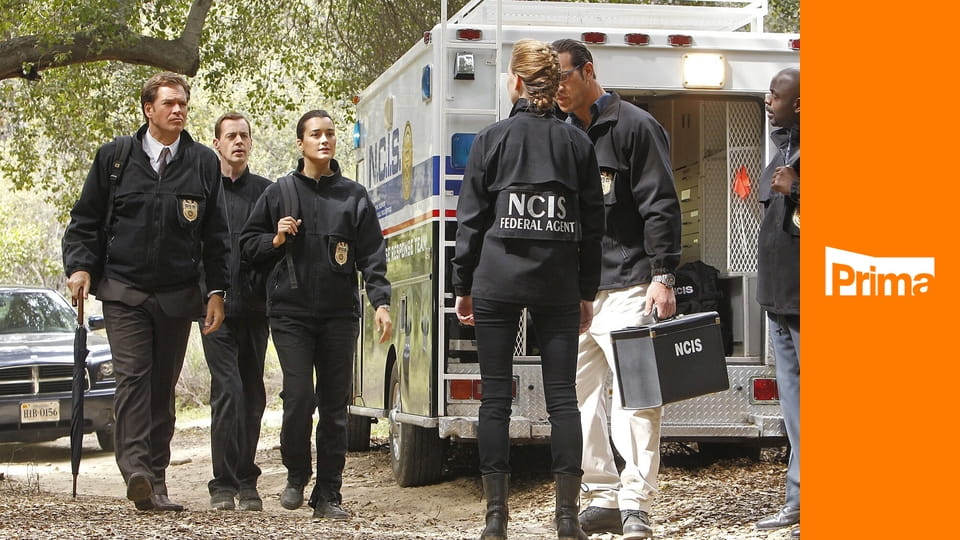 Námořní vyšetřovací služba S15E17 - Pro jednoho odpad