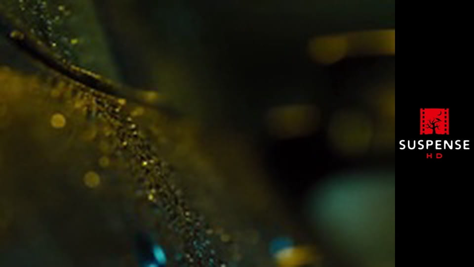 Dřív než půjdu spát