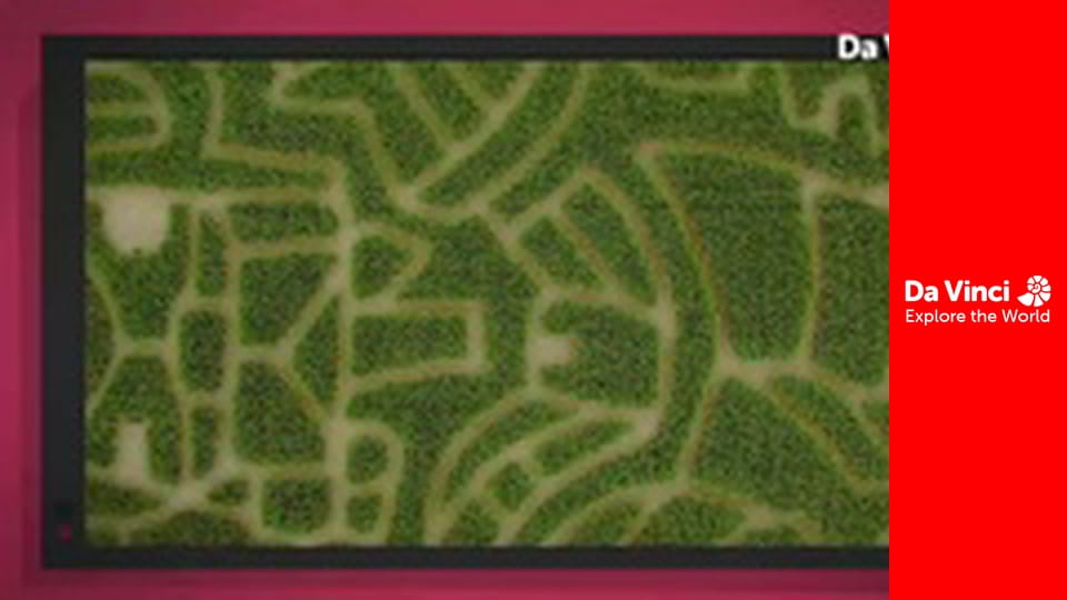 Știi oare? - De Crăciun