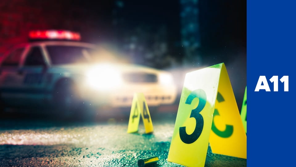 Zločin jak ho pamatuju - Fenomén Jonák