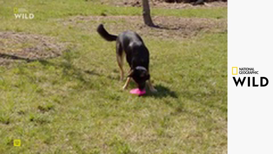 Невероятный доктор Пол S24E3