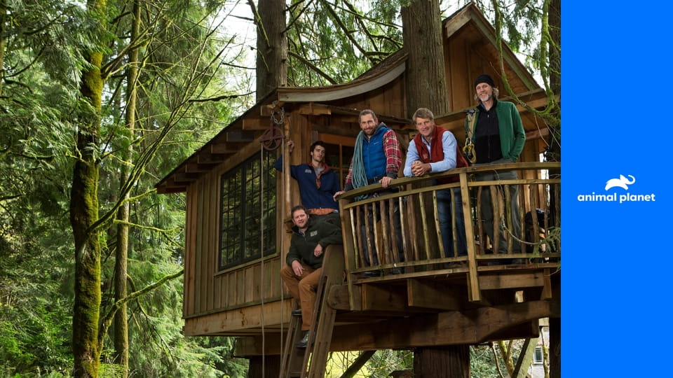Odborníci na domy v korunách stromů S3E3 - Nejskvělejší dům v korunách